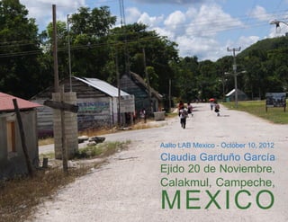 Ejido 20 de Noviembre,
Calakmul, Campeche,
MEXICO
Aalto LAB Mexico - October 10, 2012
Claudia Garduño García
 