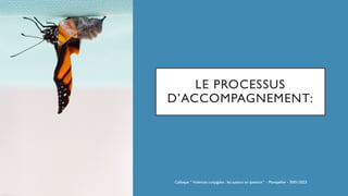 LE PROCESSUS
D’ACCOMPAGNEMENT:
Colloque “ Violences conjugales : les auteurs en question” - Montpellier - 30/01/2023
 