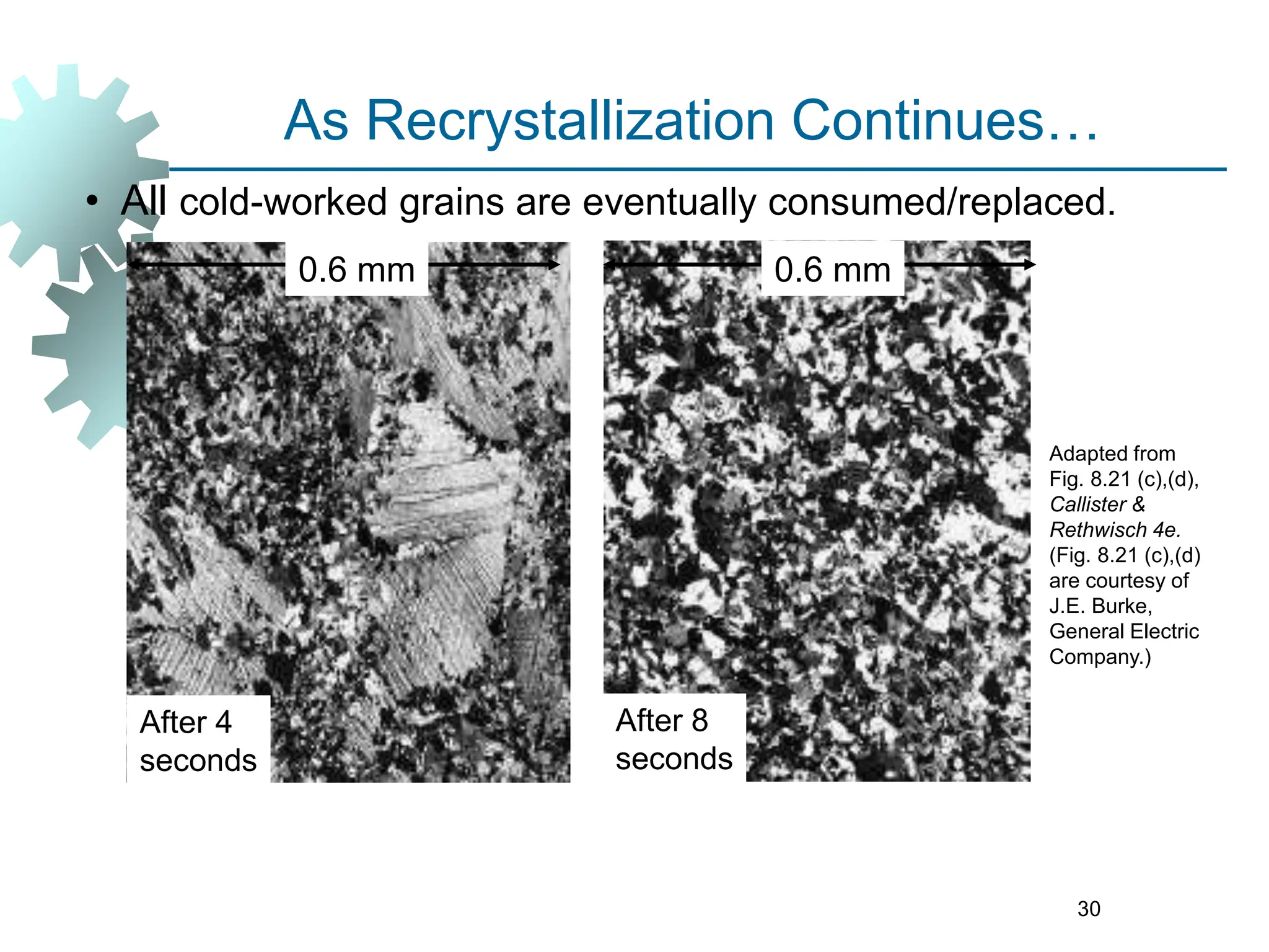 30
• All cold-worked grains are eventually consumed/replaced.
Adapted from
Fig. 8.21 (c),(d),
Callister &
Rethwisch 4e.
(Fig. 8.21 (c),(d)
are courtesy of
J.E. Burke,
General Electric
Company.)
After 4
seconds
After 8
seconds
0.6 mm
0.6 mm
As Recrystallization Continues…
 
