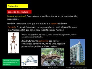 Conteúdos: 
Conceito de estrutura 
O que é a estrutura? É o modo como as diferentes partes de um todo estão 
organizadas. 
Também se costuma dizer que a estrutura é o suporte da forma. 
Exemplo: O esqueleto humano – a organização das partes (ossos) formam 
o todo (esqueleto), que por sua vez suporta o corpo humano. 
O nosso esqueleto tem 206 ossos. A forma como estão organizados permite-nos 
realizar as várias tarefas. 
As estruturas dão resistência aos objetos 
construídos pelo homem, desde uma pequena 
ponte até um prédio de vários andares. 
Torre São Rafael, Ponte de madeira parque das nações. 
Atividade: organiza uma 
lista com exemplos de 
estruturas . 
Estrutura ponte (maquete) 
 