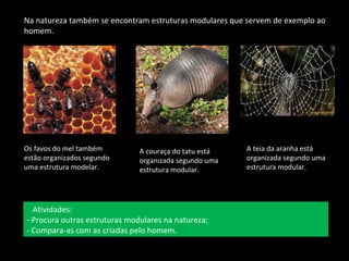 Na natureza também se encontram estruturas modulares que servem de exemplo ao 
homem. 
Os favos do mel também 
estão organizados segundo 
uma estrutura modelar. 
A couraça do tatu está 
organizada segundo uma 
estrutura modular. 
A teia da aranha está 
organizada segundo uma 
estrutura modular. 
Atividades: 
- Procura outras estruturas modulares na natureza; 
- Compara-as com as criadas pelo homem. 
 