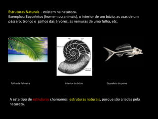 Estruturas Naturais - existem na natureza. 
Exemplos: Esqueletos (homem ou animais), o interior de um búzio, as asas de um 
pássaro, tronco e galhos das árvores, as nervuras de uma folha, etc. 
Folha da Palmeira Interior do búzio Esqueleto do peixe 
A este tipo de estruturas chamamos estruturas naturais, porque são criadas pela 
natureza. 
 