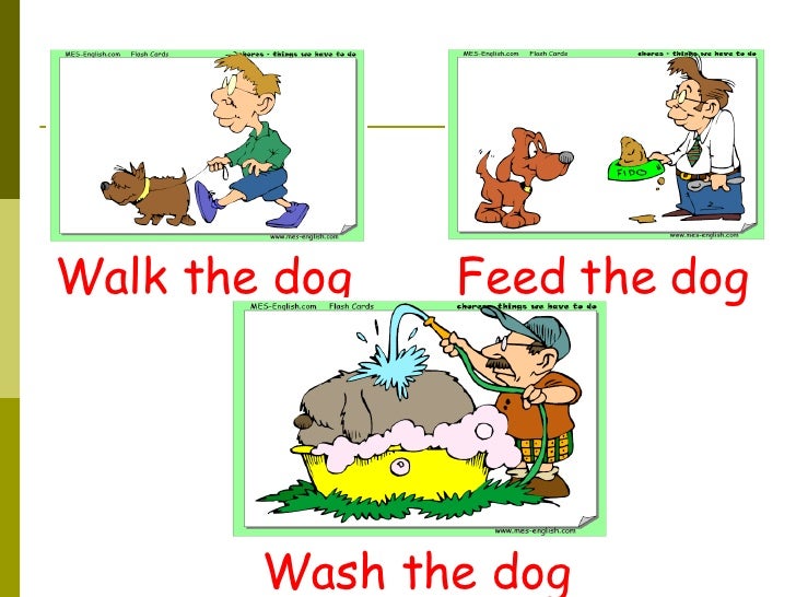 how often do you feed a puppy 20 how often do you how often do you feed a puppy 20 how often do you