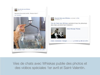 Vies de chats avec Whiskas publie des photos et
 des vidéos spéciales 1er avril et Saint-Valentin.
 