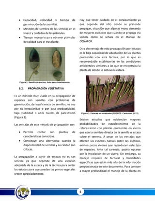 Identificación y manejo de especies nativas para la reforestación | PDF