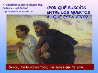 Al escuchar a María Magdalena,
Pedro y Juan fueron              ¿POR QUÉ BUSCÁIS
rápidamente al sepulcro
                                 ENTRE LOS MUERTOS
                                 AL QUE ESTÁ VIVO?




    Señor, Tú lo sabes todo, Tú sabes que te amo
 