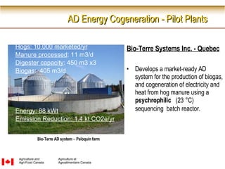 Bio-Terre Systems Inc. - Quebec Develops a market-ready AD system for the production of biogas, and cogeneration of electricity and heat from hog manure using a  psychrophilic   (23 °C) sequencing  batch reactor.   Hogs: 10,000 marketed/yr Manure processed : 11 m3/d  Digester capacity : 450 m3 x3 Biogas :  405 m3/d Energy: 88 kWt Emission Reduction: 1.4 kt CO2e/yr Bio-Terre AD system   –  Peloquin farm AD Energy Cogeneration - Pilot Plants Agriculture and Agri-Food   Canada Agriculture et  Agroalimentaire Canada 