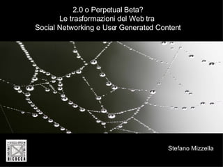 2.0 o Perpetual Beta? Le trasformazioni del Web tra  Social Networking e User Generated Content Stefano Mizzella 