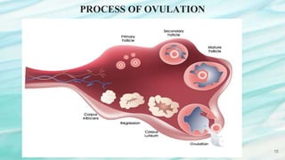 Hormonal Control of Reproductive Process in Females | PPTX