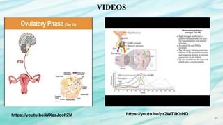 Hormonal Control of Reproductive Process in Females | PPTX
