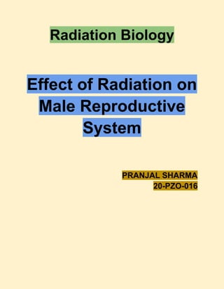 Radiation Biology
Effect of Radiation on
Male Reproductive
System
PRANJAL SHARMA
20-PZO-016
 