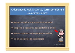 Questões categorias taxonómicas