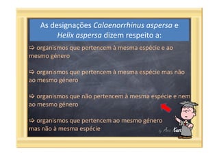 Questões categorias taxonómicas