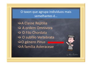 Questões categorias taxonómicas