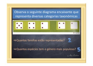 Questões categorias taxonómicas