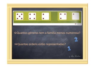 Questões categorias taxonómicas