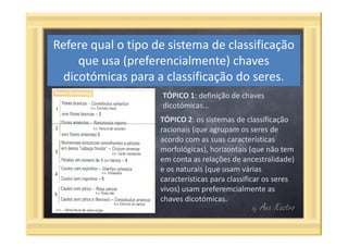 Questões categorias taxonómicas
