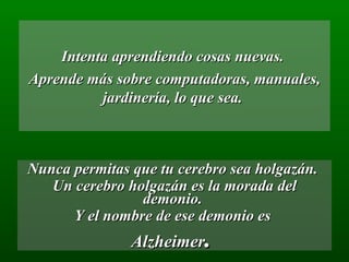 Intenta aprendiendo cosas nuevas.  Aprende más sobre computadoras, manuales, jardinería, lo que sea.  Nunca permitas que tu cerebro sea holgazán.  Un cerebro holgazán es la morada del demonio.  Y el nombre de ese demonio es  Alzheimer .  