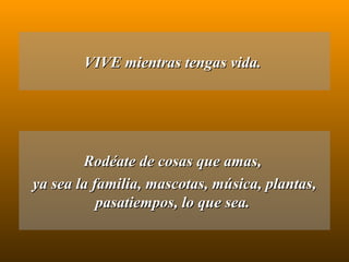 VIVE mientras tengas vida.  Rodéate de cosas que amas,  ya sea la familia, mascotas, música, plantas, pasatiempos, lo que sea.  