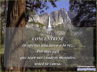 4) CONCÉNTRESE  en apenas una tarea a la vez.  Por mas ágil  que sean sus cuadros mentales,  usted se cansa.  