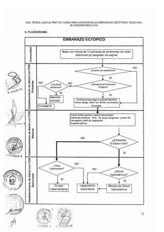 20. rm695-2006 gpc fon