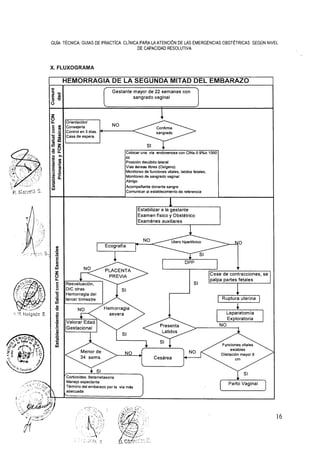 20. rm695-2006 gpc fon