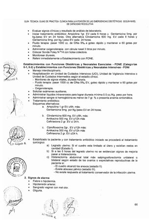 20. rm695-2006 gpc fon