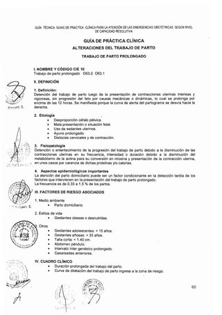 20. rm695-2006 gpc fon