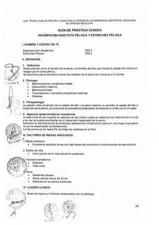 20. rm695-2006 gpc fon