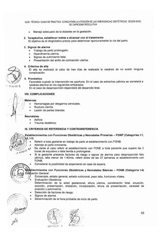 20. rm695-2006 gpc fon
