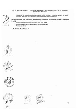 20. rm695-2006 gpc fon