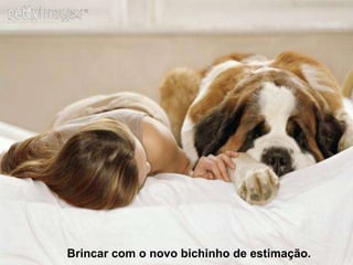 Brincar com o novo bichinho de estimação. 