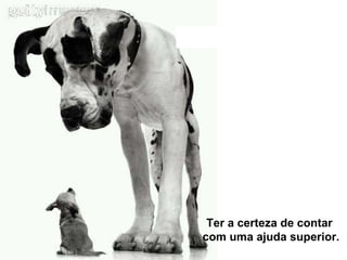 Ter a certeza de contar  com uma ajuda superior. 