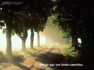 Dirigir por um lindo caminho. 