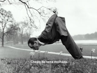 Cheiro de terra molhada. 