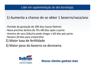  1)	
  Aumenta	
  a	
  chance	
  de	
  se	
  obter	
  1	
  bezerro/vaca/ano	
  

-­‐	
  Período	
  de	
  gestação	
  de	
  290	
  dias	
  (vacas	
  Nelore)	
  
-­‐	
  Nova	
  prenhez	
  dentro	
  de	
  70	
  a	
  80	
  dias	
  após	
  o	
  parto	
  
-­‐	
  Anestro	
  de	
  vaca	
  Zebuína	
  pode	
  chegar	
  a	
  60	
  dias	
  pós	
  parto	
  
-­‐	
  Restam	
  20	
  dias	
  para	
  emprenhar	
  	
  
2)	
  Maior	
  taxa	
  de	
  fer?lidade	
  	
  
3)	
  Maior	
  peso	
  do	
  bezerro	
  na	
  desmama	
  
 