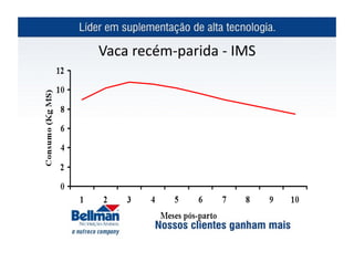 Vaca	
  recém-­‐parida	
  -­‐	
  IMS	
  
 