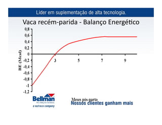 Vaca	
  recém-­‐parida	
  -­‐	
  Balanço	
  Energé?co	
  
 
