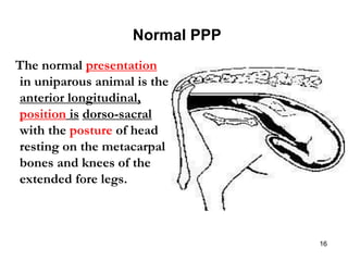 Uniparous 20 ther 608 parturition | PPT