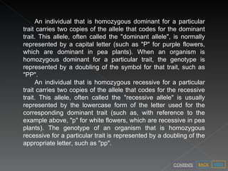 An individual that is homozygous dominant for a particular trait carries two copies of the allele that codes for the dominant trait. This allele, often called the "dominant allele", is normally represented by a capital letter (such as "P" for purple flowers, which are dominant in pea plants). When an organism is homozygous dominant for a particular trait, the genotype is represented by a doubling of the symbol for that trait, such as "PP". An individual that is homozygous recessive for a particular trait carries two copies of the allele that codes for the recessive trait. This allele, often called the "recessive allele" is usually represented by the lowercase form of the letter used for the corresponding dominant trait (such as, with reference to the example above, "p" for white flowers, which are recessive in pea plants). The genotype of an organism that is homozygous recessive for a particular trait is represented by a doubling of the appropriate letter, such as "pp". NEXT BACK CONTENTS 