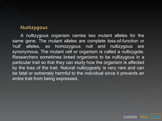 Nullizygous A nullizygous organism carries two mutant alleles for the same gene. The mutant alleles are complete loss-of-function or 'null' alleles, so homozygous null and nullizygous are synonymous. The mutant cell or organism is called a nullizygote. Researchers sometimes breed organisms to be nullizygous in a particular trait so that they can study how the organism is affected by the loss of the trait. Natural nullizygosity is very rare and can be fatal or extremely harmful to the individual since it prevents an entire trait from being expressed. NEXT BACK CONTENTS 