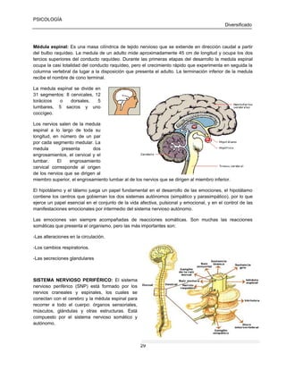 PSICOLOGÍA
Diversificado

Médula espinal: Es una masa cilíndrica de tejido nervioso que se extiende en dirección caudal a partir
del bulbo raquídeo. La medula de un adulto mide aproximadamente 45 cm de longitud y ocupa los dos
tercios superiores del conducto raquídeo. Durante las primeras etapas del desarrollo la medula espinal
ocupa la casi totalidad del conducto raquídeo, pero el crecimiento rápido que experimenta en seguida la
columna vertebral da lugar a la disposición que presenta el adulto. La terminación inferior de la medula
recibe el nombre de cono terminal.
La medula espinal se divide en
31 segmentos: 8 cervicales, 12
torácicos
o
dorsales,
5
lumbares, 5 sacros y uno
coccígeo.
Los nervios salen de la medula
espinal a lo largo de toda su
longitud, en número de un par
por cada segmento medular. La
medula
presenta
dos
engrosamientos, el cervical y el
lumbar.
El
engrosamiento
cervical corresponde al origen
de los nervios que se dirigen al
miembro superior, el engrosamiento lumbar al de los nervios que se dirigen al miembro inferior.
El hipotálamo y el tálamo juega un papel fundamental en el desarrollo de las emociones, el hipotálamo
contiene los centros que gobiernan los dos sistemas autónomos (simpático y parasimpático), por lo que
ejerce un papel esencial en el conjunto de la vida afectiva, pulsional y emocional, y en el control de las
manifestaciones emocionales por intermedio del sistema nervioso autónomo.
Las emociones van siempre acompañadas de reacciones somáticas. Son muchas las reacciones
somáticas que presenta el organismo, pero las más importantes son:
-Las alteraciones en la circulación.
-Los cambios respiratorios.
-Las secreciones glandulares

SISTEMA NERVIOSO PERIFÉRICO: El sistema
nervioso periférico (SNP) está formado por los
nervios craneales y espinales, los cuales se
conectan con el cerebro y la médula espinal para
recorrer e todo el cuerpo: órganos sensoriales,
músculos, glándulas y otras estructuras. Está
compuesto por el sistema nervioso somático y
autónomo.

29

 