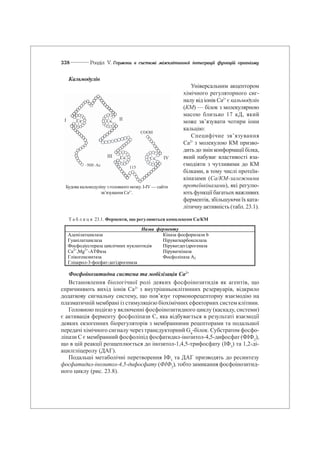 Біологічна хімія за ред. Ю.І. Губський, 2000р., 510ст