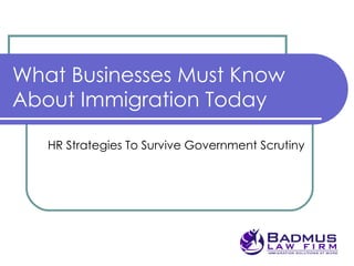 What Businesses Must Know About Immigration Today HR Strategies To Survive Government Scrutiny  Presented by  Ann Massey Badmus 