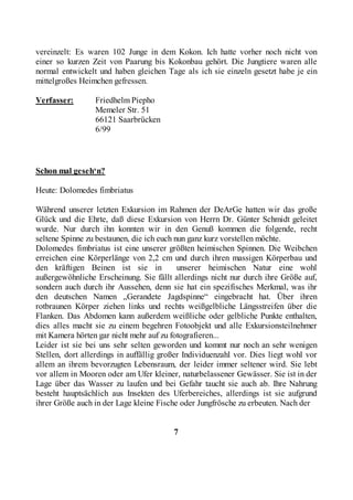 vereinzelt: Es waren 102 Junge in dem Kokon. Ich hatte vorher noch nicht von
einer so kurzen Zeit von Paarung bis Kokonbau gehört. Die Jungtiere waren alle
normal entwickelt und haben gleichen Tage als ich sie einzeln gesetzt habe je ein
mittelgroßes Heimchen gefressen.

Verfasser:       Friedhelm Piepho
                 Memeler Str. 51
                 66121 Saarbrücken
                 6/99



Schon mal geseh‘n?

Heute: Dolomedes fimbriatus

Während unserer letzten Exkursion im Rahmen der DeArGe hatten wir das große
Glück und die Ehrte, daß diese Exkursion von Herrn Dr. Günter Schmidt geleitet
wurde. Nur durch ihn konnten wir in den Genuß kommen die folgende, recht
seltene Spinne zu bestaunen, die ich euch nun ganz kurz vorstellen möchte.
Dolomedes fimbriatus ist eine unserer größten heimischen Spinnen. Die Weibchen
erreichen eine Körperlänge von 2,2 cm und durch ihren massigen Körperbau und
den kräftigen Beinen ist sie in            unserer heimischen Natur eine wohl
außergewöhnliche Erscheinung. Sie fällt allerdings nicht nur durch ihre Größe auf,
sondern auch durch ihr Aussehen, denn sie hat ein spezifisches Merkmal, was ihr
den deutschen Namen „Gerandete Jagdspinne“ eingebracht hat. Über ihren
rotbraunen Körper ziehen links und rechts weißgelbliche Längsstreifen über die
Flanken. Das Abdomen kann außerdem weißliche oder gelbliche Punkte enthalten,
dies alles macht sie zu einem begehren Fotoobjekt und alle Exkursionsteilnehmer
mit Kamera hörten gar nicht mehr auf zu fotografieren...
Leider ist sie bei uns sehr selten geworden und kommt nur noch an sehr wenigen
Stellen, dort allerdings in auffällig großer Individuenzahl vor. Dies liegt wohl vor
allem an ihrem bevorzugten Lebensraum, der leider immer seltener wird. Sie lebt
vor allem in Mooren oder am Ufer kleiner, naturbelassener Gewässer. Sie ist in der
Lage über das Wasser zu laufen und bei Gefahr taucht sie auch ab. Ihre Nahrung
besteht hauptsächlich aus Insekten des Uferbereiches, allerdings ist sie aufgrund
ihrer Größe auch in der Lage kleine Fische oder Jungfrösche zu erbeuten. Nach der


                                         7
 