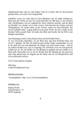 mitbekommen hatte, daß wir ihm folgten. Und als er hörte, daß wir dem falschen
gefolgt wären, war seine Verwirrung perfekt.

Jedenfalls waren wir dann bald bei dem Männchen und ich mußte telefonieren.
Denn nach der CITES war das Tier schon fünf Jahre alt. RH fand vor zwei Wochen
statt, allerhöchstens. Ich war aufgrund des Alters natürlich unsicher, daß der Bock
ein Idealfall war, konnte ich ja nicht wissen. Und dann kam das Suchen nach den
Tibiapophysen, ich suchte immer an den Tastern, anstatt am ersten Beinpaar. Bis
ich die gefunden hatte, verging natürlich eine ganze Weile, da ich ja immer an der
falschen Stelle gesucht hatte. Ich nahm den Bock und brachte ihn mit Hilfe eines
Kumpels nach Hause.

Aus Platzmangel stellte ich das Becken oben auf mein Smithi-Weib ...
Es war inzwischen September, als der Bock kam, und mein Weibchen hatte sich
am 22.7. gehäutet. Da hab ich natürlich ganz schöne Ängste ausgestanden. Es war
ja für mich alles neu und unbekannt. Sie gönnte sich einen neuen Anzug ... und als
sie endlich draußen war, lag sie Tagelang, alle acht Beine weit von sich gestreckt,
einfach nur da. Na toll dachte ich, die Häutung ist geglückt und nun schafft sie es
doch nicht. Inzwischen war ja fast ne Woche nach der Häutung um. So nach etwa
zehn Tage danach kam sie langsam auf die Beine und ich war überglücklich, daß
ich sie doch nicht verliere.

Teil 2 in der nächsten Ausgabe.

MfG Petra
e-mail:Ploempke@aol.com


Quellenverzeichnis:
"Arachnophobia": http://www.isl.lu/arachnophobia/


Gefunden von:
Markus Strauß
Gabelsbergerstr. 73
86199 Augsburg


                                        5
 