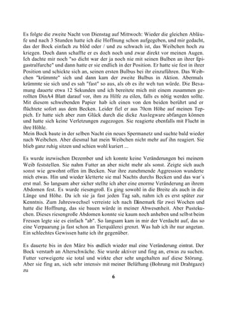 Es folgte die zweite Nacht von Dienstag auf Mittwoch: Wieder die gleichen Abläu-
fe und nach 3 Stunden hatte ich die Hoffnung schon aufgegeben, und mir gedacht,
das der Bock einfach zu blöd oder / und zu schwach ist, das Weibchen hoch zu
kriegen. Doch dann schaffte er es doch noch und zwar direkt vor meinen Augen.
Ich dachte mir noch "so dicht war der ja noch nie mit seinen Bulben an ihrer Epi-
gastralfurche" und dann hatte er sie endlich in der Position. Er hatte sie fest in ihrer
Position und schickte sich an, seinen ersten Bulbus bei ihr einzuführen. Das Weib-
chen "krümmte" sich und dann kam der zweite Bulbus in Aktion. Abermals
krümmte sie sich und es sah "fast" so aus, als ob es ihr weh tun würde. Die Besa-
mung dauerte etwa 12 Sekunden und ich bereitete mich mit einem zusammen ge-
rollten DinA4 Blatt darauf vor, ihm zu Hilfe zu eilen, falls es nötig werden sollte.
Mit diesem schwebenden Papier hab ich einen von den beiden berührt und er
flüchtete sofort aus dem Becken. Leider fiel er aus 70cm Höhe auf meinen Tep-
pich. Er hatte sich aber zum Glück durch die dicke Auslegware abfangen können
und hatte sich keine Verletzungen zugezogen. Sie reagierte ebenfalls mit Flucht in
ihre Höhle.
Mein Bock baute in der selben Nacht ein neues Spermanetz und suchte bald wieder
nach Weibchen. Aber diesmal hat mein Weibchen nicht mehr auf ihn reagiert. Sie
blieb ganz ruhig sitzen und schien wohl kuriert ...

Es wurde inzwischen Dezember und ich konnte keine Veränderungen bei meinem
Weib feststellen. Sie nahm Futter an aber nicht mehr als sonst. Zeigte sich auch
sonst wie gewohnt offen im Becken. Nur ihre zunehmende Aggression wunderte
mich etwas. Hin und wieder kletterte sie mal Nachts durchs Becken und das war´s
erst mal. So langsam aber sicher stellte ich aber eine enorme Veränderung an ihrem
Abdomen fest. Es wurde riesengroß. Es ging sowohl in die Breite als auch in die
Länge und Höhe. Da ich sie ja fast jeden Tag sah, nahm ich es erst später zur
Kenntnis. Zum Jahreswechsel verreiste ich nach Dänemark für zwei Wochen und
hatte die Hoffnung, das sie bauen würde in meiner Abwesenheit. Aber Pusteku-
chen. Dieses riesengroße Abdomen konnte sie kaum noch anheben und selbst beim
Fressen legte sie es einfach "ab". So langsam kam in mir der Verdacht auf, das so
eine Verpaarung ja fast schon an Tierquälerei grenzt. Was hab ich ihr nur angetan.
Ein schlechtes Gewissen hatte ich ihr gegenüber.

Es dauerte bis in den März bis endlich wieder mal eine Veränderung eintrat. Der
Bock verstarb an Alterschwäche. Sie wurde aktiver und fing an, etwas zu suchen.
Futter verweigerte sie total und wirkte eher sehr ungehalten auf diese Störung.
Aber sie fing an, sich sehr intensiv mit meiner Belüftung (Bohrung mit Drahtgaze)
zu
                                         6
 