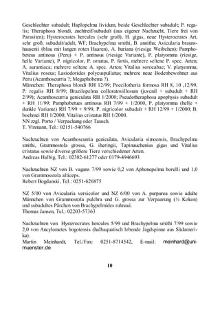 Nachzuchten von Avicularia laeta NZ 4/2000 und A. versicolor NZ 5/2000.
Martin Huber, Tel.: 0821-5896946, E-Mail: martin@f...