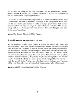 Sie erbeuten vor allem sehr verhafte Blütenbesucher wie Honigbienen, Wespen
oder auch große Schmetterlinge, die durch einen Biss in den Nacken gelähmt wer-
den, um anschließend ausgesaugt zu werden.

Th. onustus ist ein dankbares Fotoobjekt und es ist sicher sehr eindrucksvoll, diese
Spinne einmal auf ein Bild zu haben. Allerdings ist das fotografieren dieser schö-
nen Art nicht immer ganz einfach, da sie bei Störungen geschickt auf die Blütenun-
terseite klettert, um sich dem Auge des Beobachters zu entziehen. Aber mit ein
wenig Geduld und Geschick kann man sie meist doch dazu bringen, sich einer
„Fotosession“ zu stellen.

Autor: John Osmani, Dürerstr. 1, 50226 Frechen


Dehydrisierung und was man dagegen tun kann

Als ich vor einiger Zeit bei einem Freund zu Besuch war, machte mich dieser dar-
auf aufmerksam, daß er eine leblose Megaphobema robusta im Wassernapf liegen
hätte. Um mir das Tier näher anzusehen, wollte ich es aus dem Becken nehmen.
Ich staunte nicht schlecht, als ich die Spinne an einem Bein berührte und diese
zusammenzuckte. Scheinbar war doch noch etwas Leben im Tier. Da das Terrari-
um ziemlich ausgetrocknet war, riet ich ihm, etwas Wasser in den Napf zu geben,
damit die offensichtlich völlig dehydrierte Vogelspinne Flüssigkeit zu sich nehmen
könnte. Tatsächlich erholte sich das Tier innerhalb weniger Stunden wieder so
weit, das es sich in ihr Versteck zurückziehen konnte. Nachdem das Terrarium
kräftig gesprüht worden war, verhielt sich die Vogelspinne wieder völlig normal.

Autor: Martin Meinhardt, Potstiege 7, 48161 Münster




                                         9
 