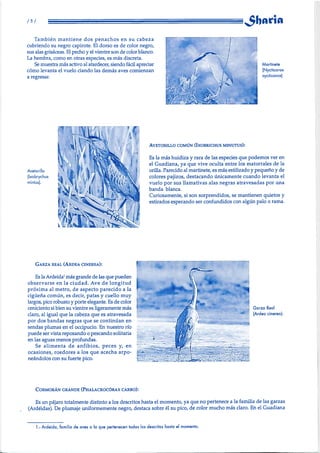 sharia nº 22 año 2000